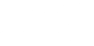 Avaada White Logo